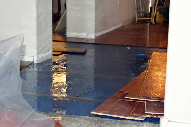 Professional Basement Flood Cleanup technician working in Langeloth, PA